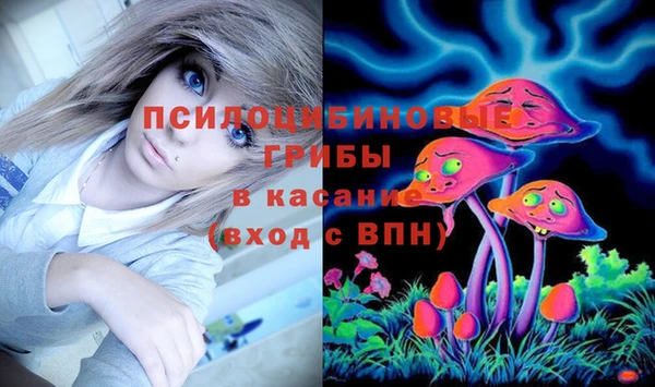 мет Аркадак