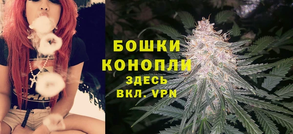 прущий лед Арсеньев
