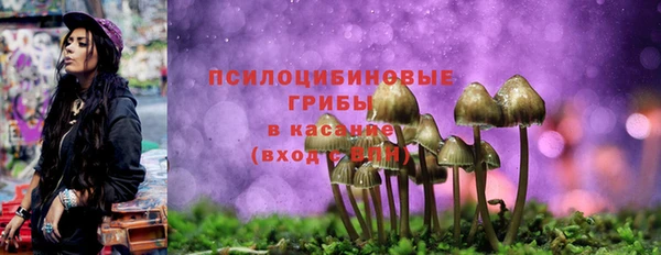 меф Армянск