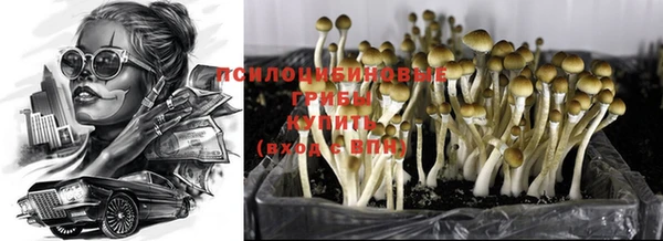 меф Армянск