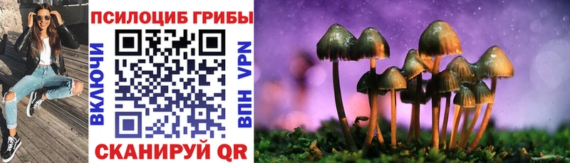 mega ссылки Макарьев Галлюциногенные грибы MAGIC MUSHROOMS